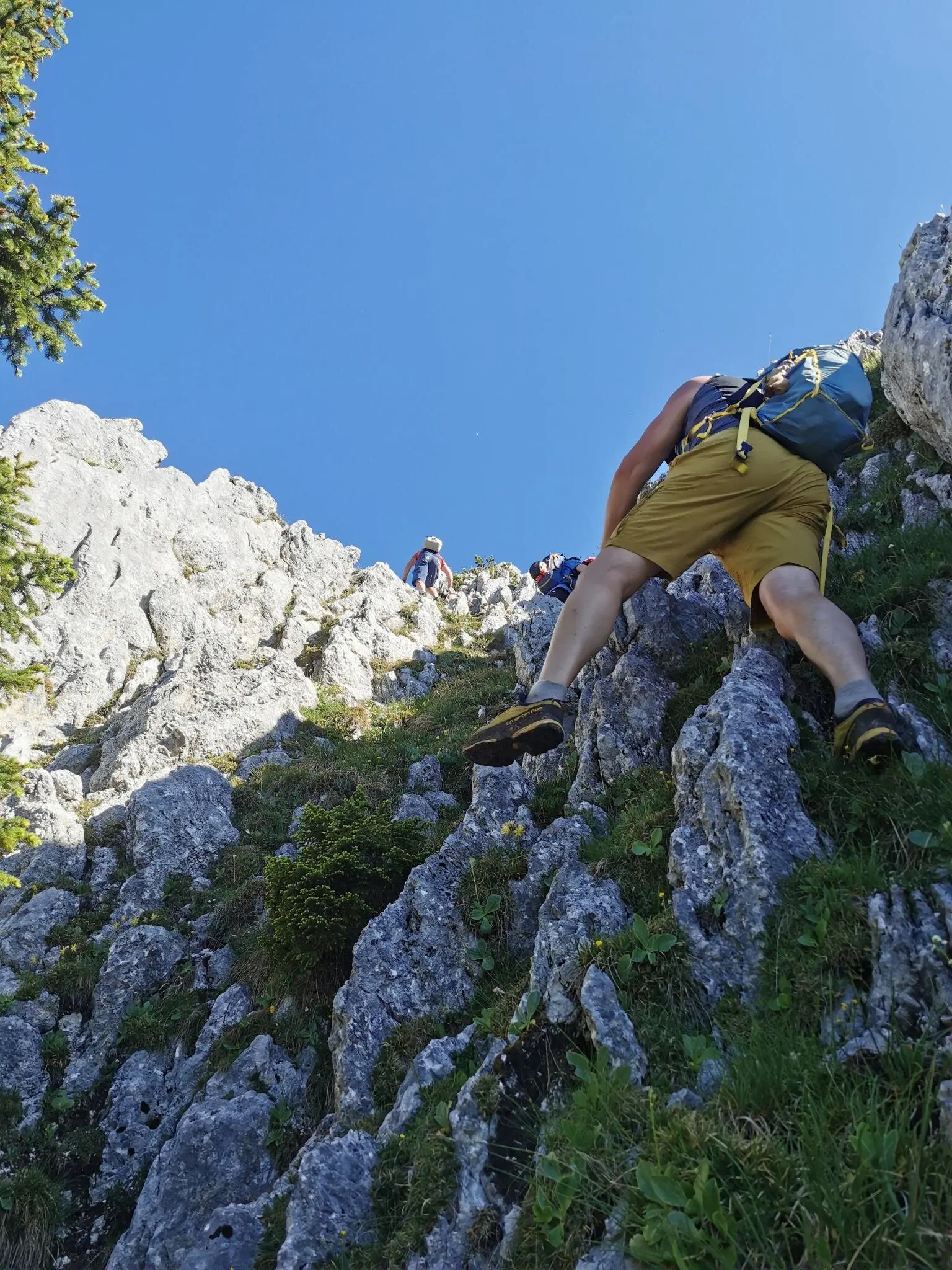 Klettertour Säuling | © Cornelius Nöß