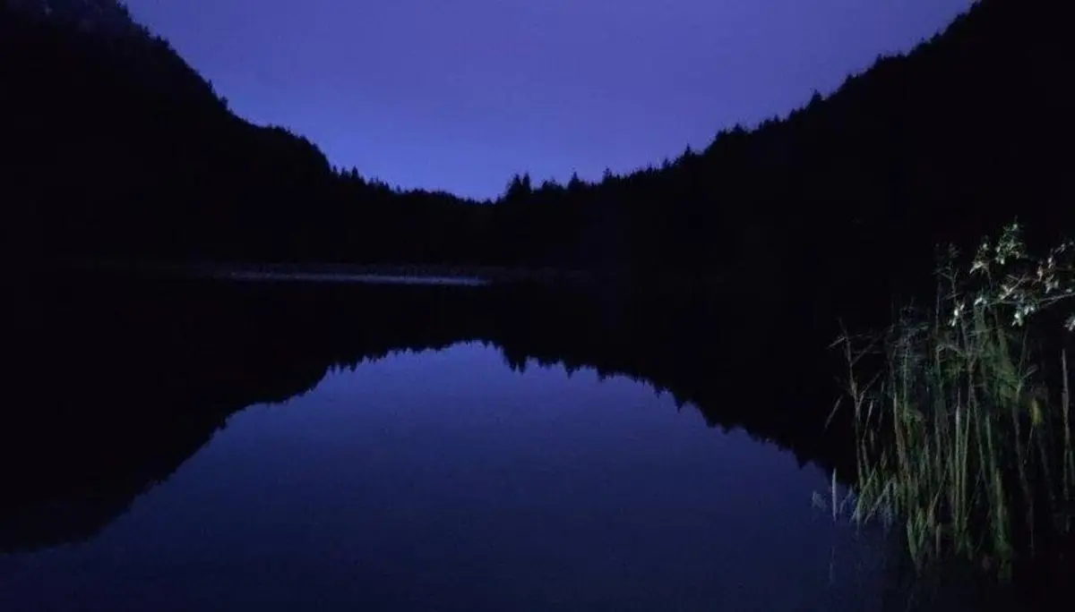 Nachtwanderung November 2023 | © DAV Pfronten