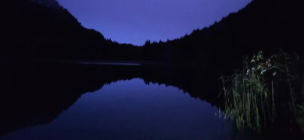 Nachtwanderung November 2023 | © DAV Pfronten