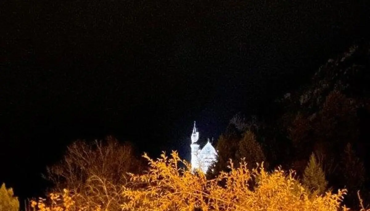 Nachtwanderung November 2023 | © DAV Pfronten