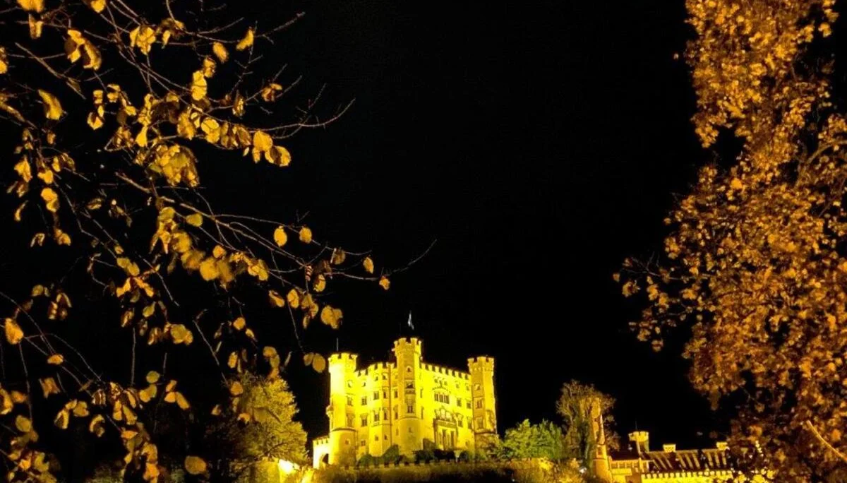 Nachtwanderung November 2023 | © DAV Pfronten