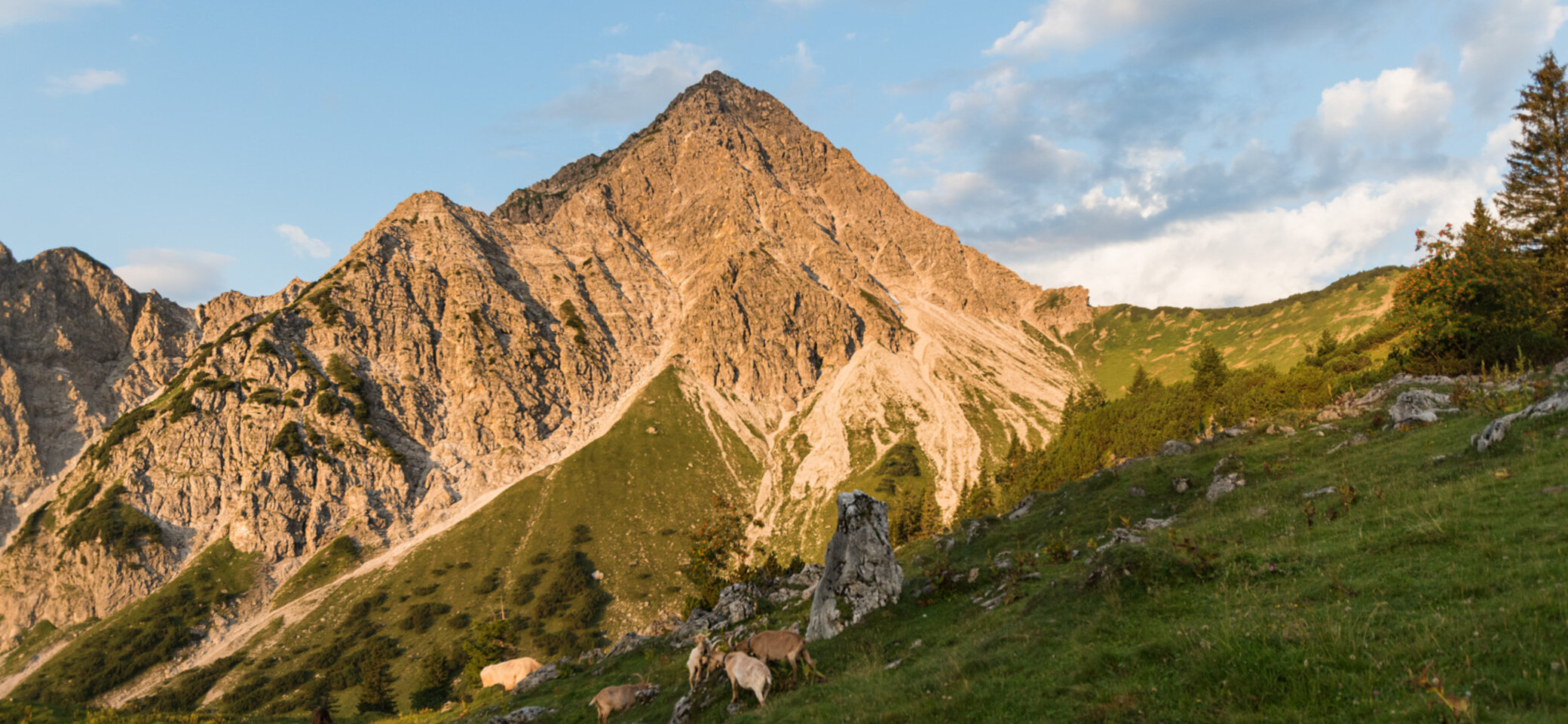 Gaishorn (Tannheimer Tal) im Morgenlicht | © DAV Pfronten - Jonas Gaier